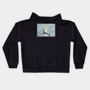 Sweet oriole fledgling Kids Hoodie